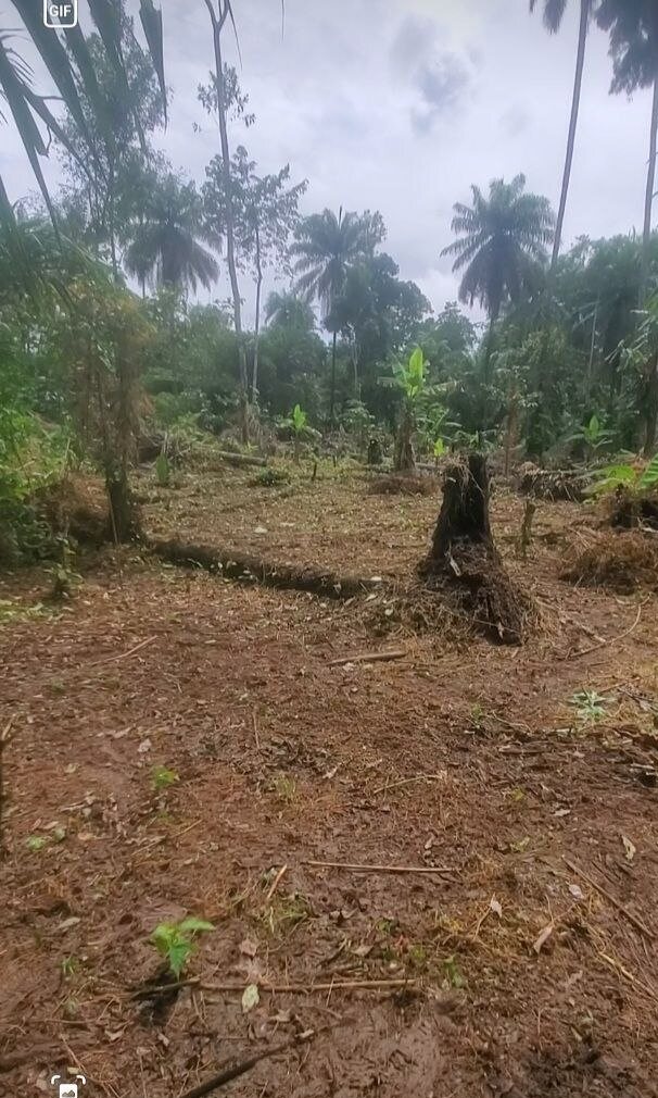 Another view of the land under development